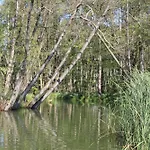 Strey Apartment Rosenow (Brandenburg)