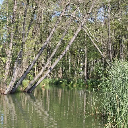 Strey Апартаменты Rosenow (Brandenburg)