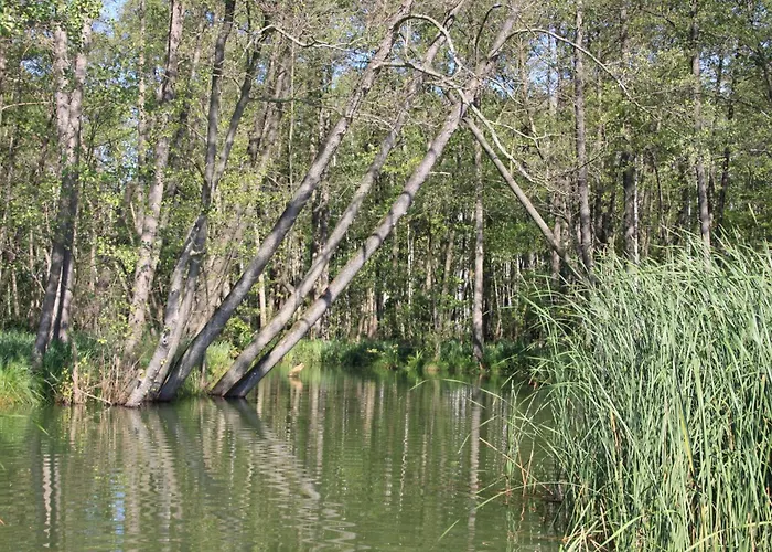 Strey Lägenhet Rosenow (Brandenburg)